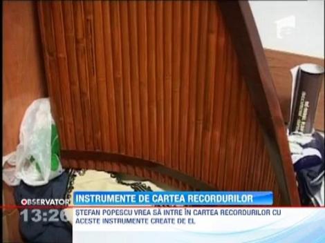 Cel mai mare nai din lume ar putea fi in Targu Jiu!