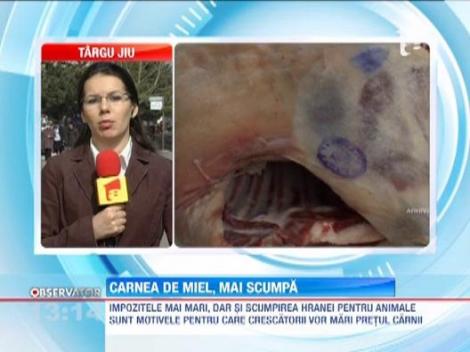 Carnea de miel se scumpeste de Paste