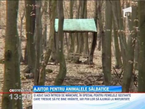 Hrana pentru animale salbatice de la vanatori