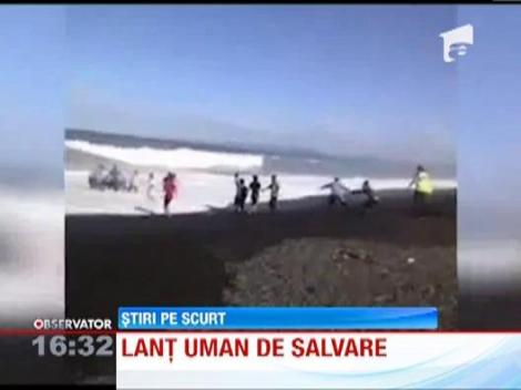 Salvare spectaculoasa in Noua Zeelanda