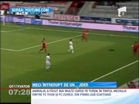 Meci de fotbal intrerupt de un jder!