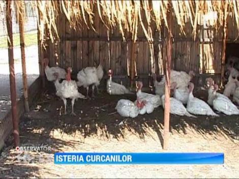 Seful ANSVSA, Mihai Turcanu, a demisionat