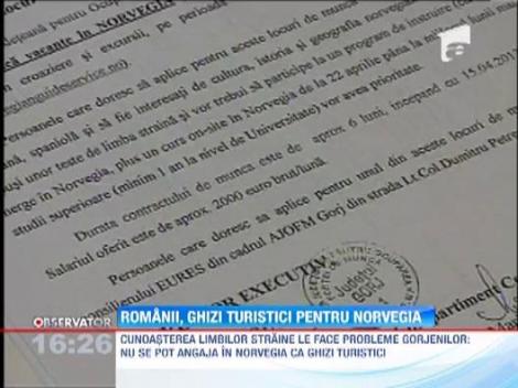 Scandinavii vor romani drept ghizi