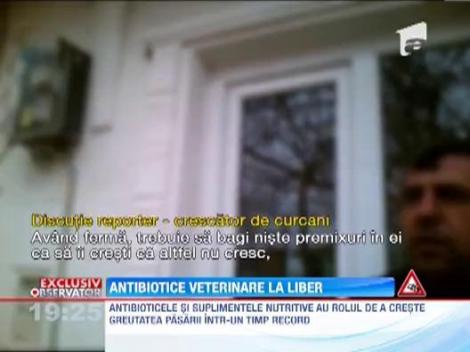 Antibiotice veterinare la liber