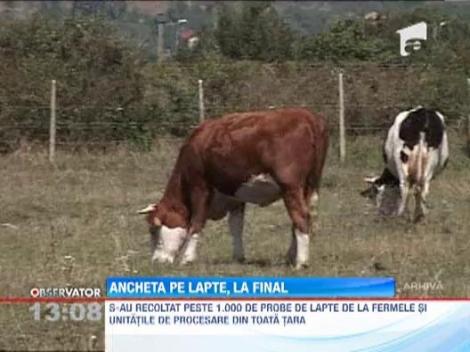 Scandalul laptelului cu aflatoxina, la final