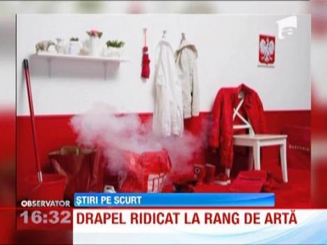 O artista olandeza face furori pe internet cu "interpretari fotografice" ale steagurilor tarilor Uniunii Europene