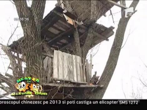 Casuta din copac din centru Bucurestiului!