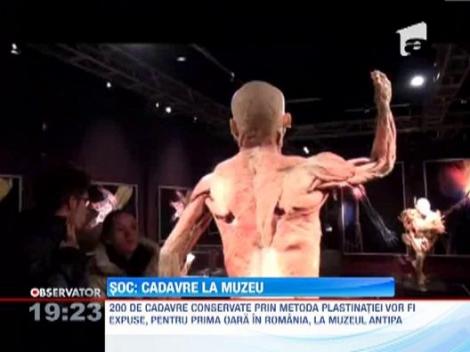 Cea mai controversata expozitie din Romania