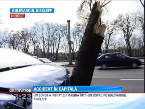 Accident spectaculos in Capitala! O masina a retezat un copac