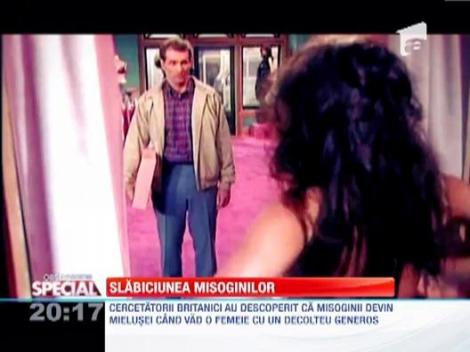 Cercetatorii britanici au descoperit punctul slab al misoginilor!