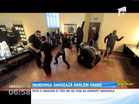 Trupa Mandinga, lovita de febra Harlem Shake!