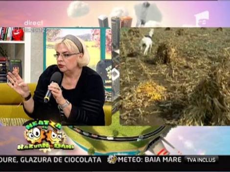 Irina Margareta Nistor, vocea filmelor romanesti, despre pelicula "Warm Bodies"