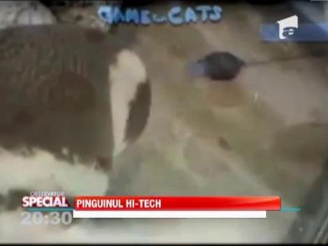 Pinguinul hi-tech