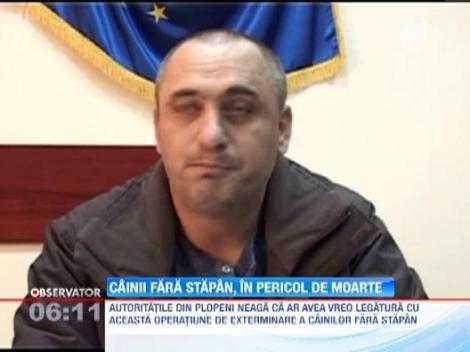 Zeci de maidanezi au fost gasiti morti intr-o padure din Prahova