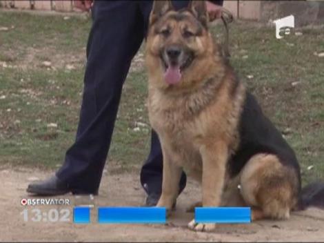 Perchezitii in Dambovita, la persoane suspectate de furturi din locuinte