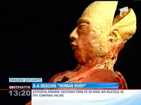 Controversata expozitie "The Human Body" a fost deschisa astazi la Muzeul Antipa
