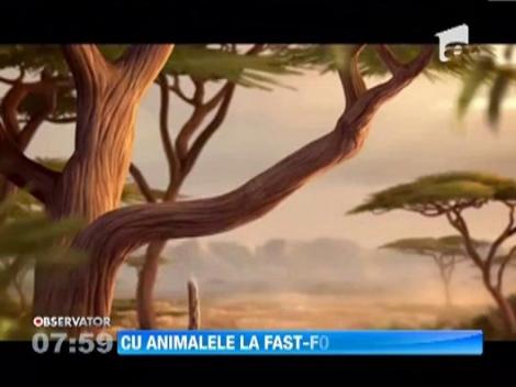 Cum ar arata animalele salbatice daca ar consuma produse de la fast-food!
