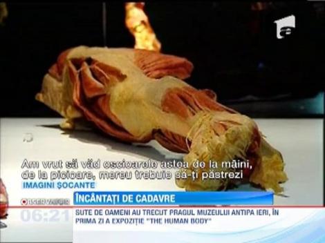 Romanii au facut coada la muzeul Antipa sa vada cadavrele "doctorului Moarte"