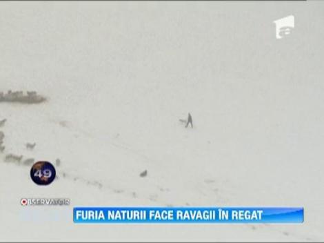 Furia naturii a facut ravagii in Marea Britanie