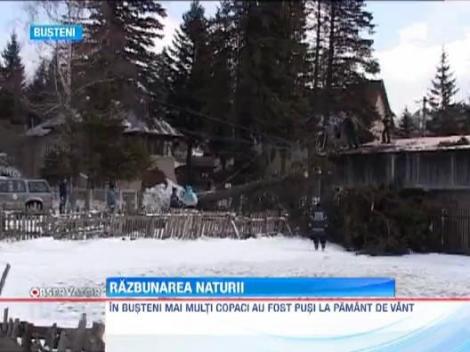 Vantul a facut prapad in tara! Zeci de sere au fost luate pe sus in Galati
