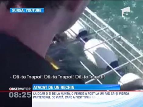 A trecut pe langa moarte! Un scafandru era sa sfarseasca in falcile unui rechin