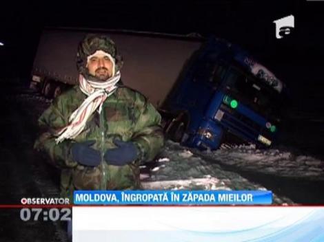 Viscolul a lasat prapad in urma lui