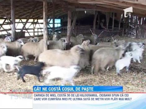 Primele produse de Paste sunt deja pe rafturile magazinelor