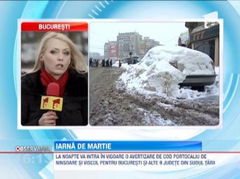 Viscolul inchide toate scolile din Capitala