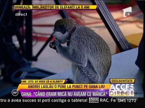 Oana Lis are ca animal de companie o maimuta!