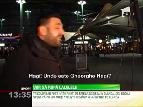 Tricolorii, asteptati de fani la Amsterdam