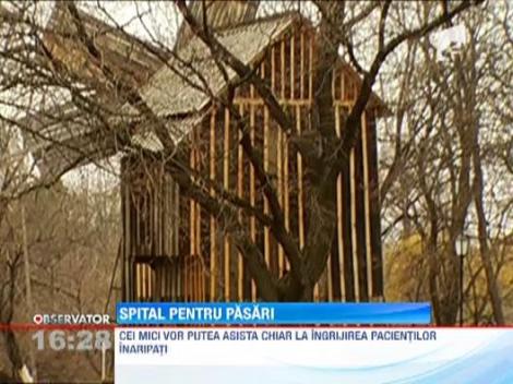 Un spital modern pentru pasari va fi infiintat la Muzeul Satului din Bucuresti