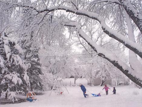 Zapada mieilor a creat haos in trafic si a inchis scoli