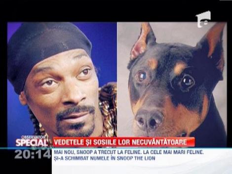 Observator Special: Vedetele si sosiile lor necuvantatoare