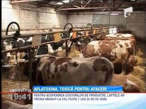 Aflatoxina, toxica si pentru afaceri