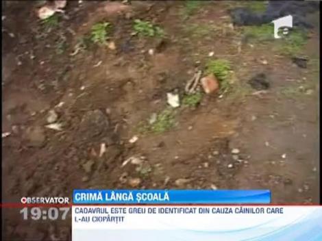UPDATE / Cadavru descoperit langa o scoala din Medgidia