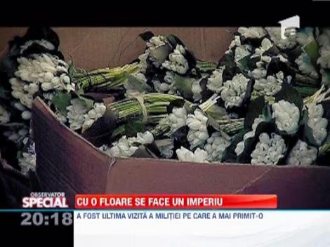 A facut un imperiu din flori, inainte de Revolutie