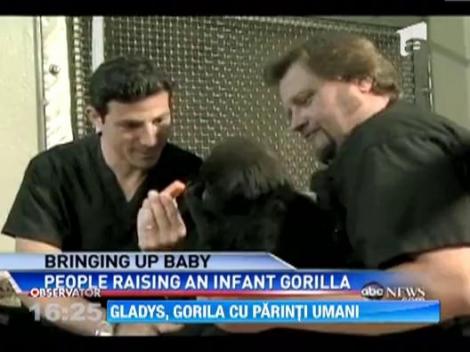Doi ingrijitori de la o gradina zoologica din SUA au devenit parinti pentru un pui de gorila