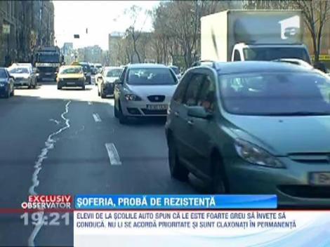 E mai simplu sa supravietuiesti in jungla decat in traficul din Bucuresti!