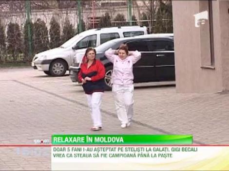 Stelistii stau relaxati in Moldova