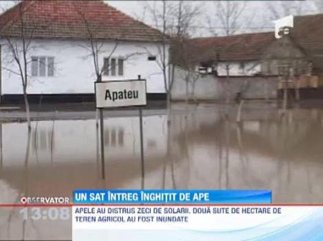 In mijlocul unui sat din Arad a aparut, din senin, un lac!