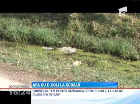 Apa contaminata cu E-coli, la o scoala dintr-o localitate din judetul Dambovita