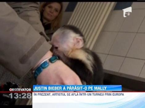Justin Bieber si-a abandonat animalul de companie intr-un aeroport