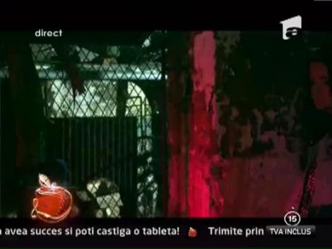 Francesca Lucarelli - "Paradise"