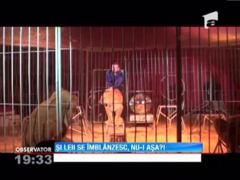 Viata de circar, o drumetie continua