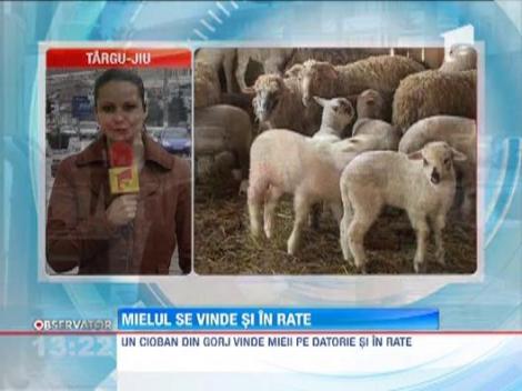 Un cioban din Gorj vinde miei pe datorie si face rezervari in caiet