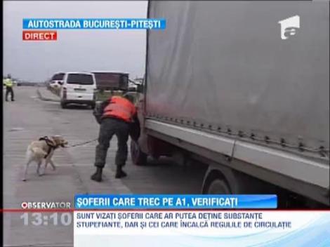 Razie de amploar pe autostrada Bucuresti - Pitesti!