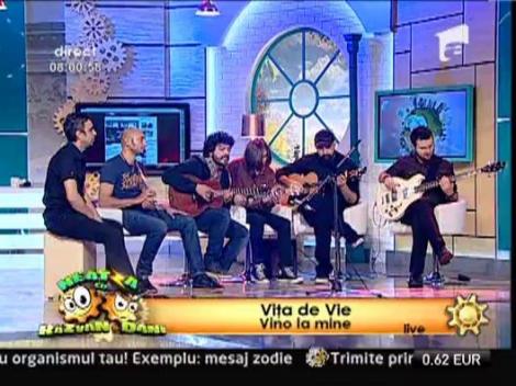 Vita de Vie lanseaza cel de-al optulea album din cariera - "Acustic"