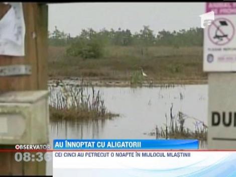 O familie din SUA a petrecut o noapte intr-o mlastina plina de aligatori