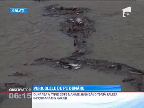 Dunarea a devenit un fluviu al gunoaielor