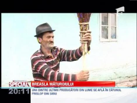 Maturoiul, produs de export